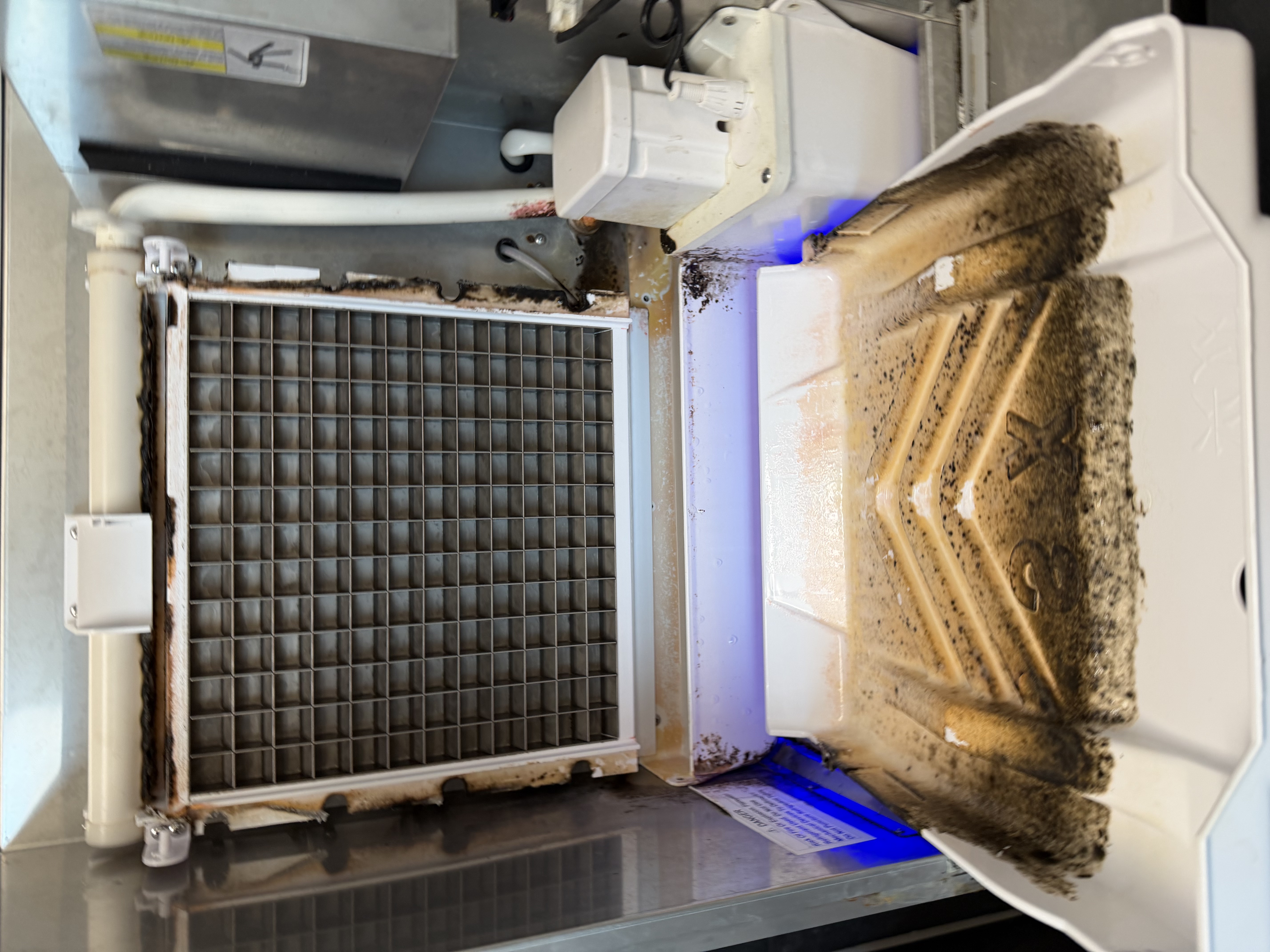 Dirty commercial ice machine evaporator module and tray before cleaning