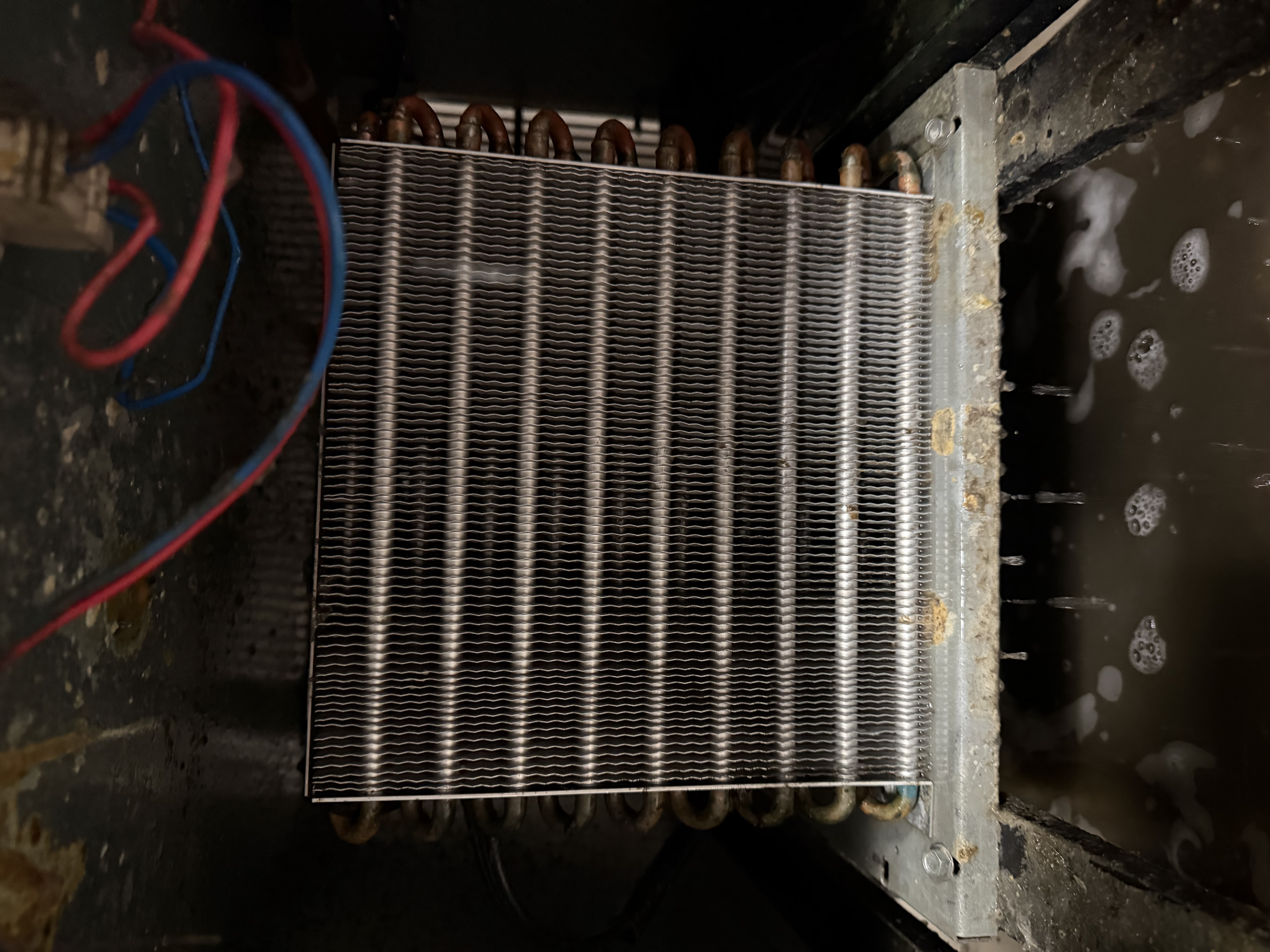 After cleaning on the same reach-in freezer, showing the cleaned coil section during restaurant maintenance