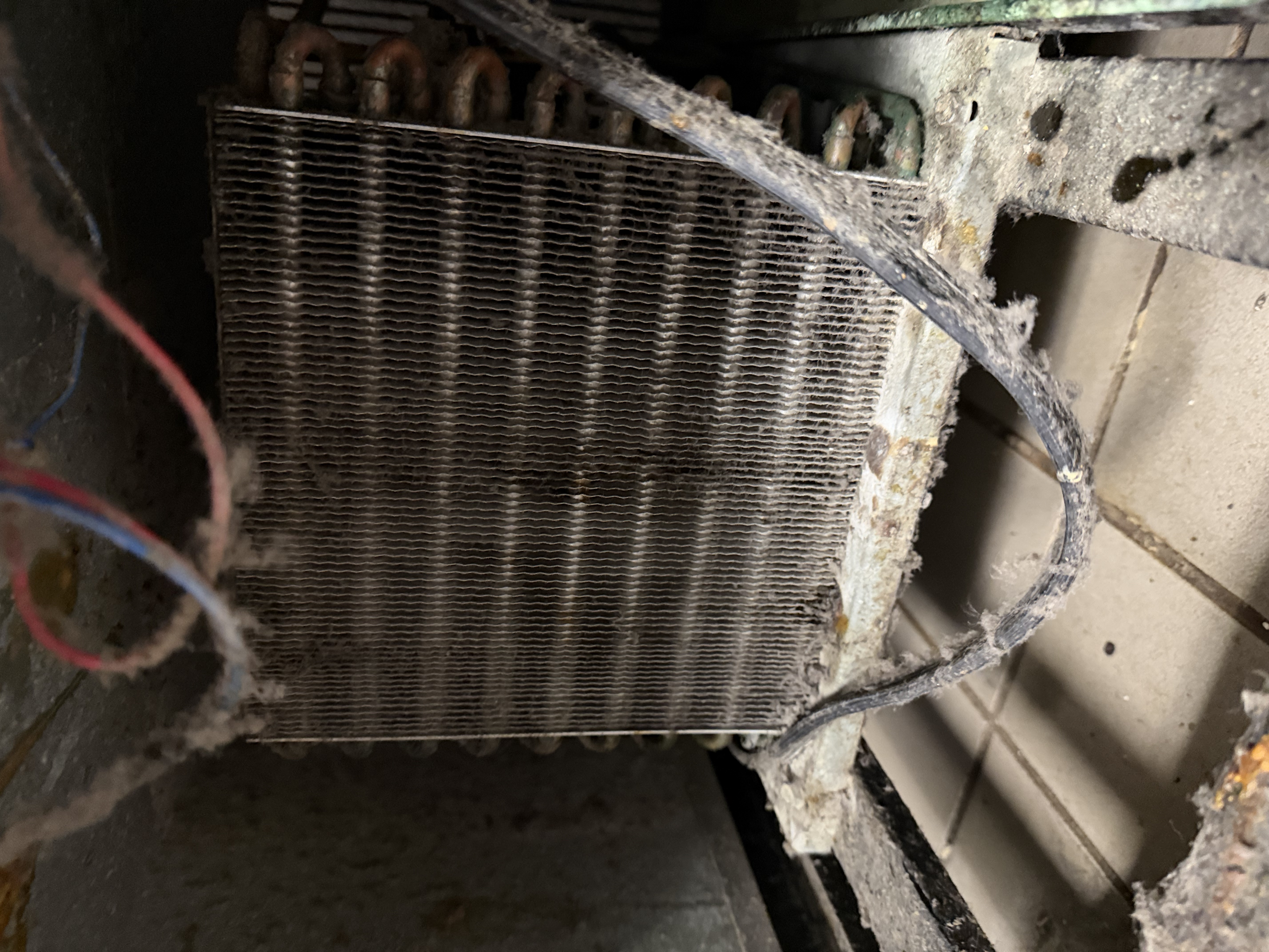 Before cleaning on a reach-in freezer, showing buildup on the coil section during a restaurant maintenance visit