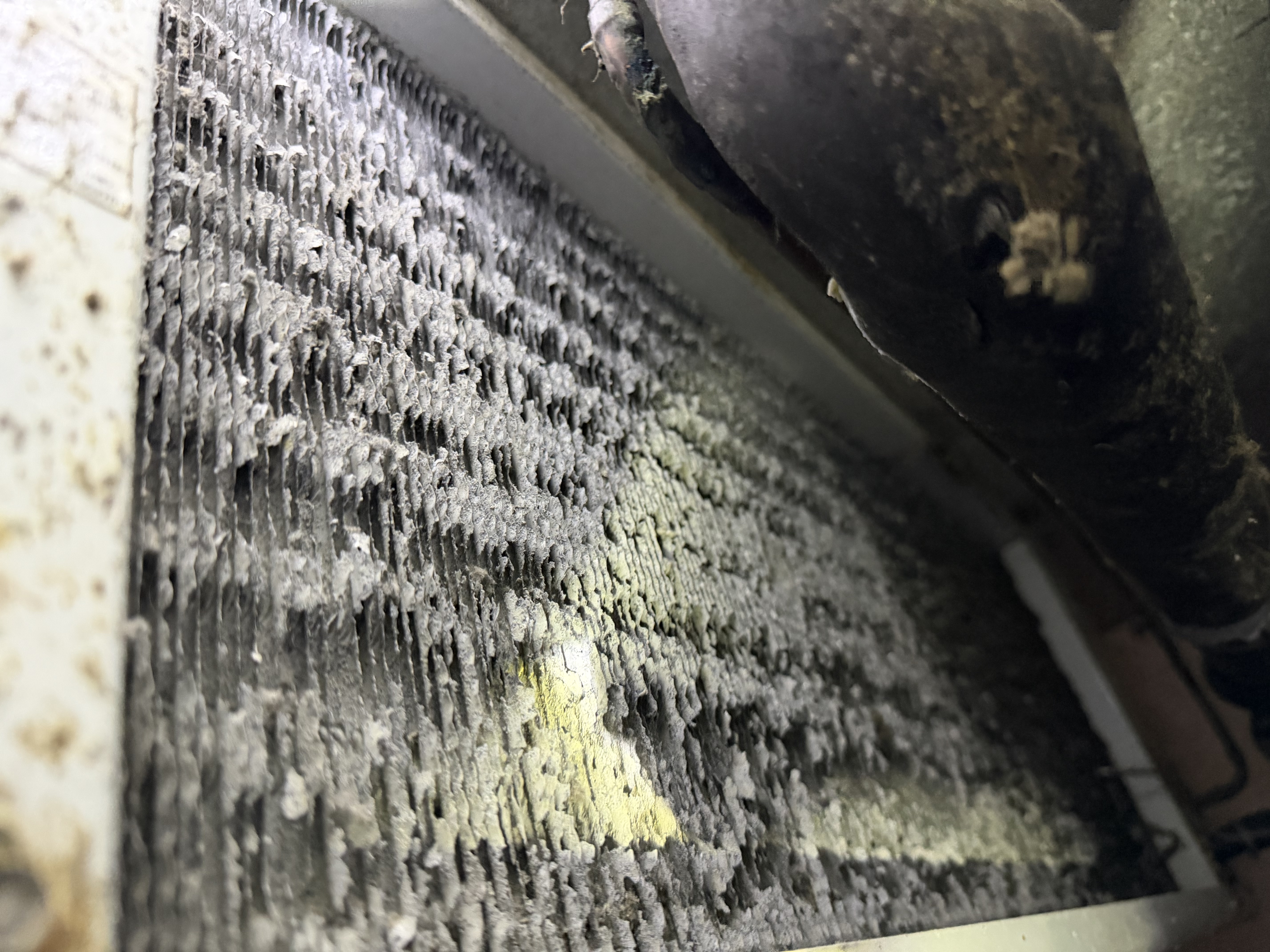 Neglected walk-in cooler or freezer evaporator coil showing severe deterioration and restricted airflow