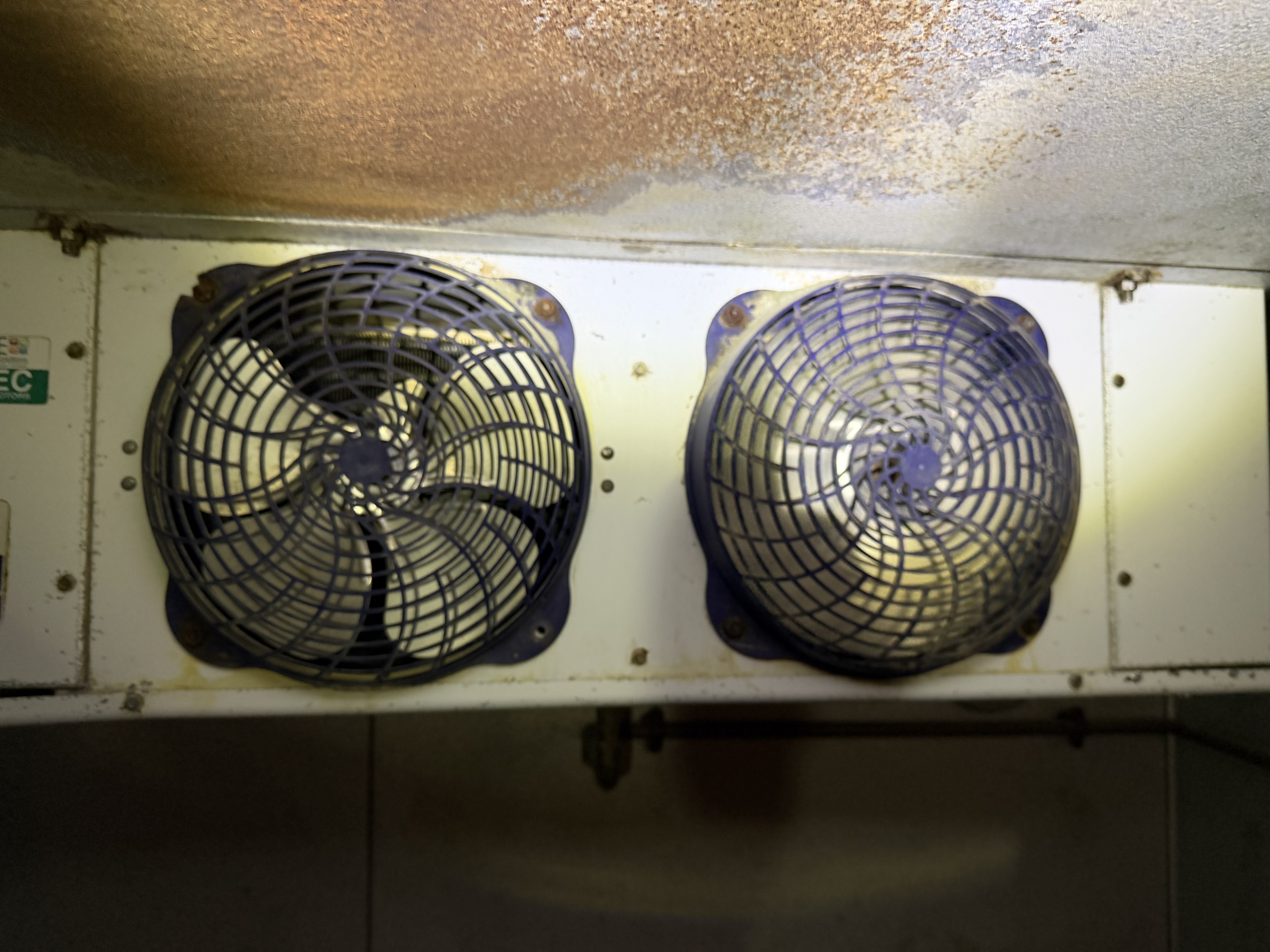 Wider view of a neglected walk-in freezer evaporator setup in a commercial kitchen